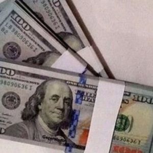 Meet your Posher, Timmy